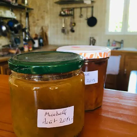 Bed and Breakfast Maison Aubergerac