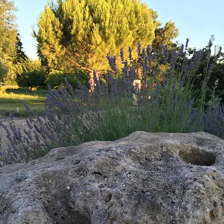 Bed & Breakfast Maison Aubergerac *