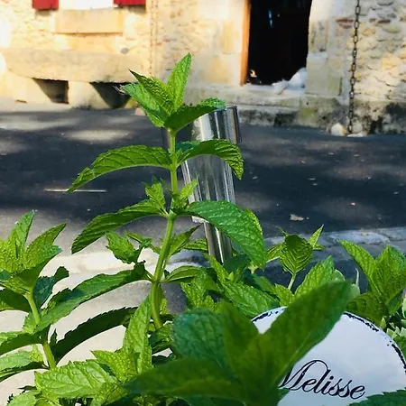 Bed and Breakfast Maison Aubergerac Μπερζεράκ