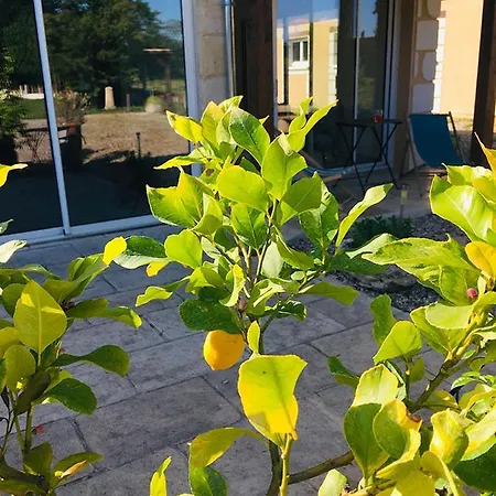 Bed and Breakfast Maison Aubergerac