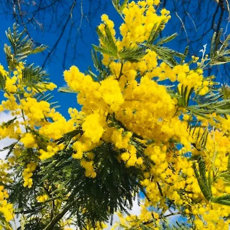 Bed and Breakfast Maison Aubergerac Μπερζεράκ