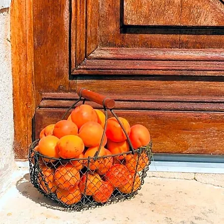 Maison Aubergerac Bed & Breakfast Bergerac