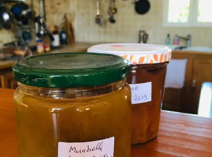 住宿加早餐酒店 Maison Aubergerac