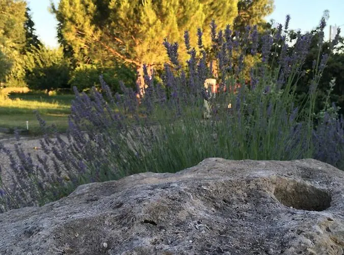 住宿加早餐酒店 Maison Aubergerac 4*