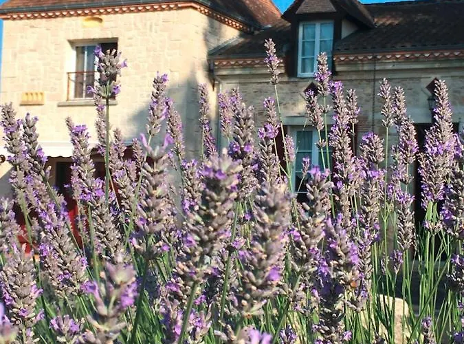 Maison Aubergerac 4* 贝尔热拉克