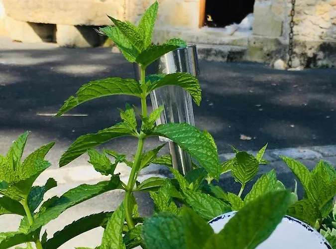 住宿加早餐酒店 Maison Aubergerac 贝尔热拉克