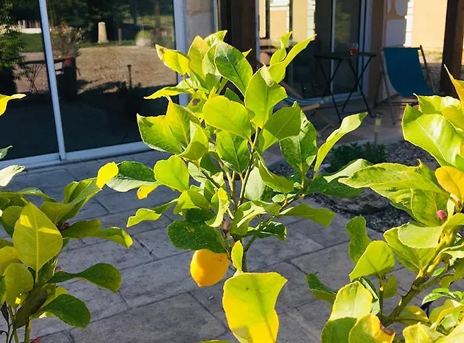 住宿加早餐酒店 Maison Aubergerac